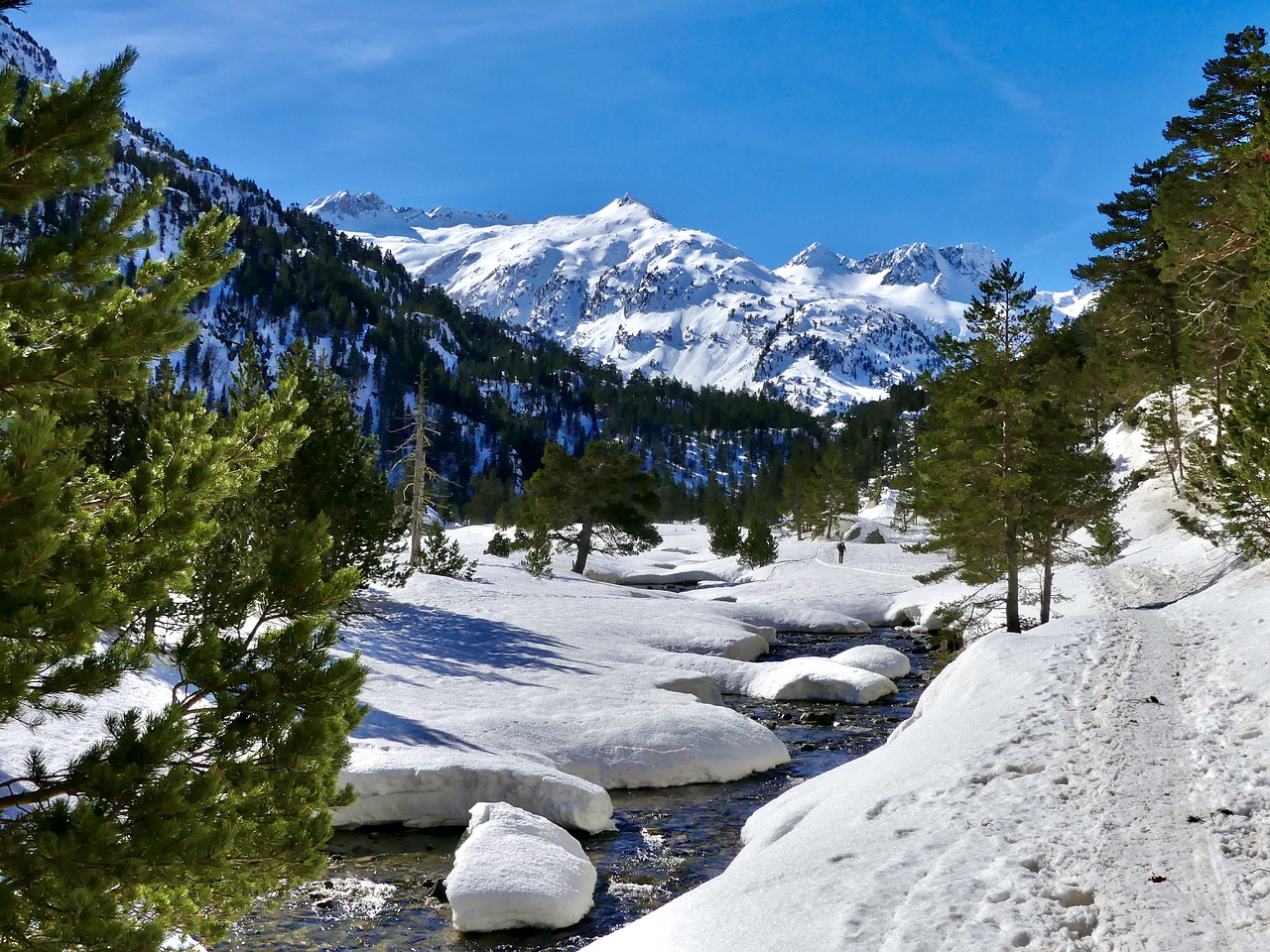 The Ultimate Guide to Snowshoeing in the Adirondacks